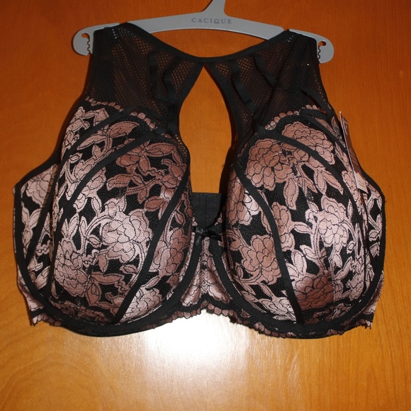 Cacique Other - LAST PRICE NWT CACIQUE SERIOUSLY SEXY COLLECTION